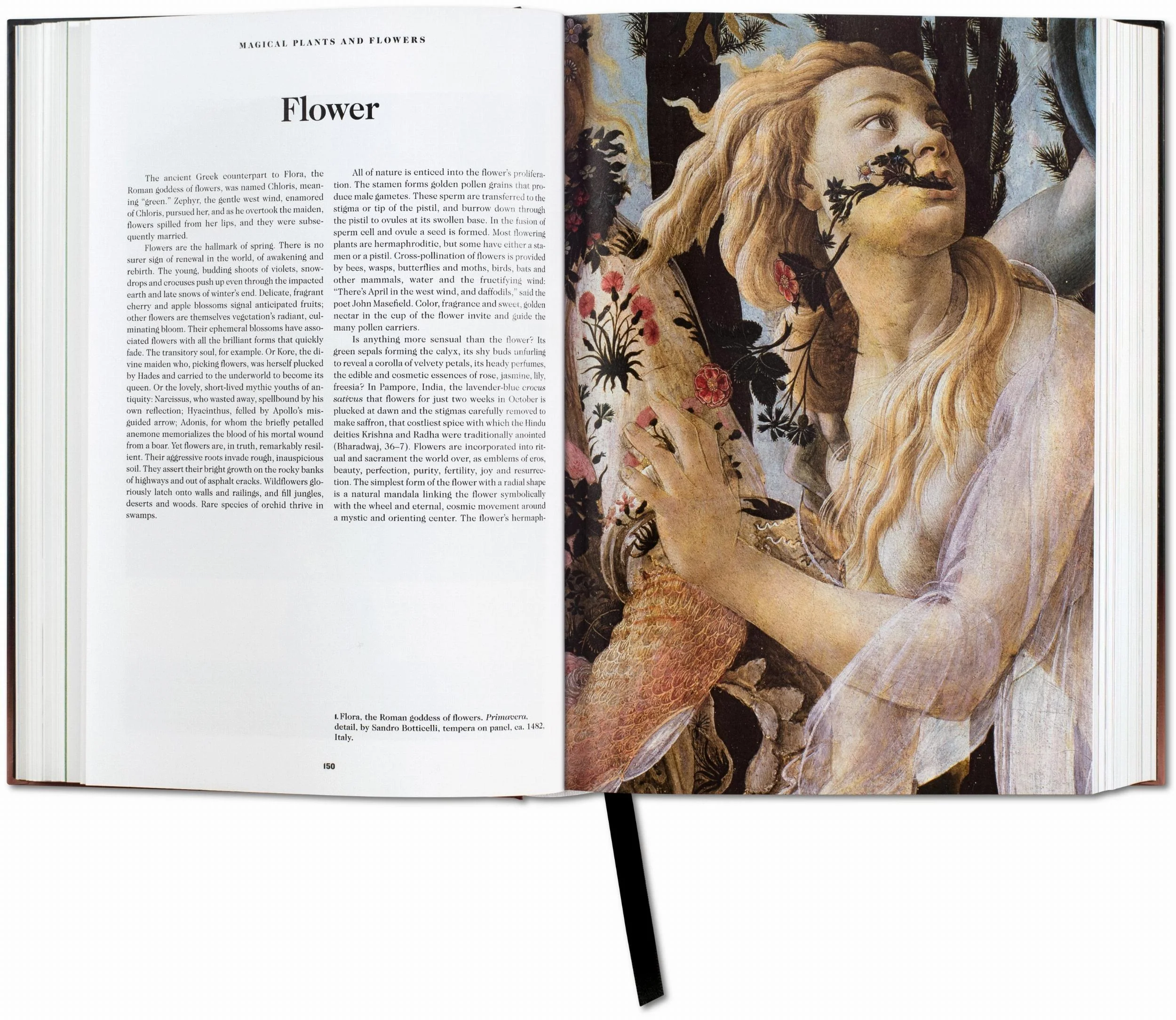 The Book of Symbols. Reflections on Archetypal Images (English) - Image 6