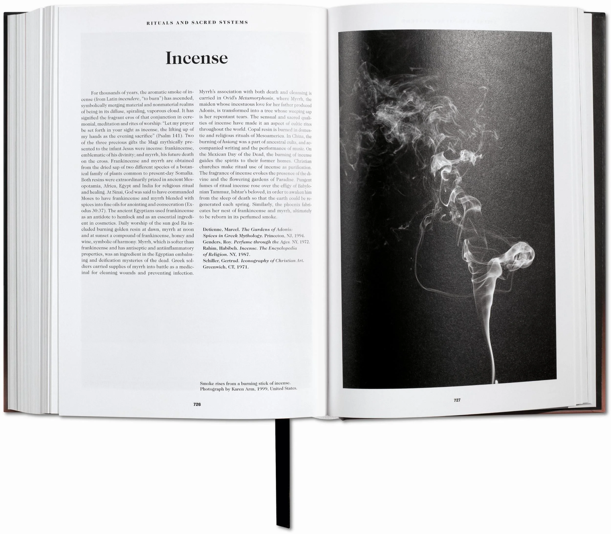 The Book of Symbols. Reflections on Archetypal Images (English) - Image 8