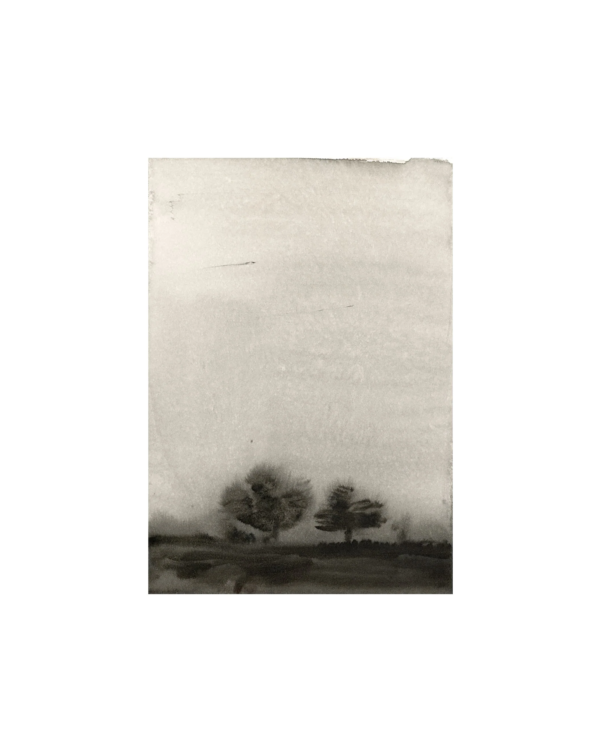 Trees In The Mist - Image 4