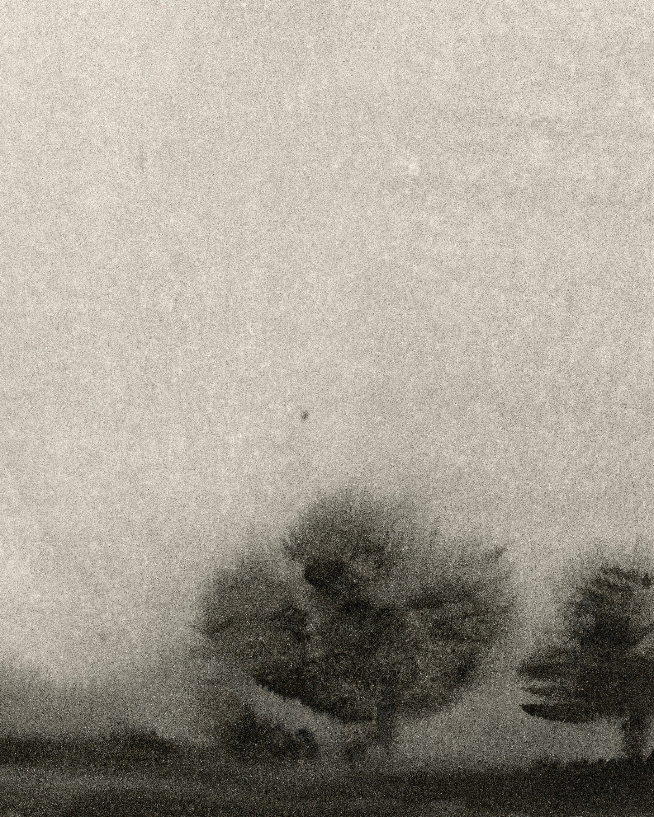Trees In The Mist - Image 5