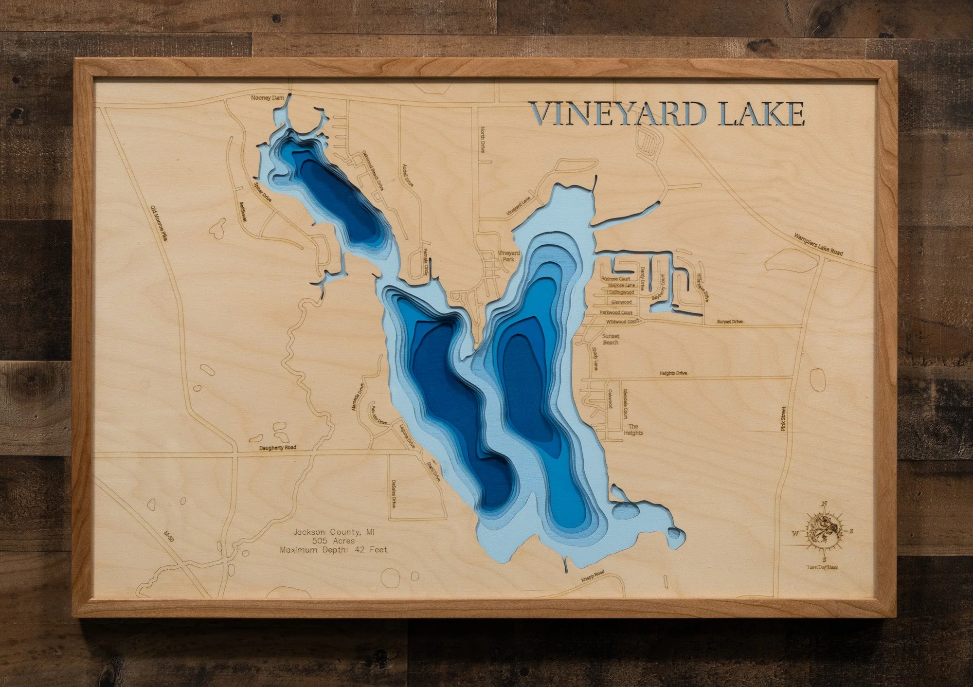 Vineyard (Jackson)