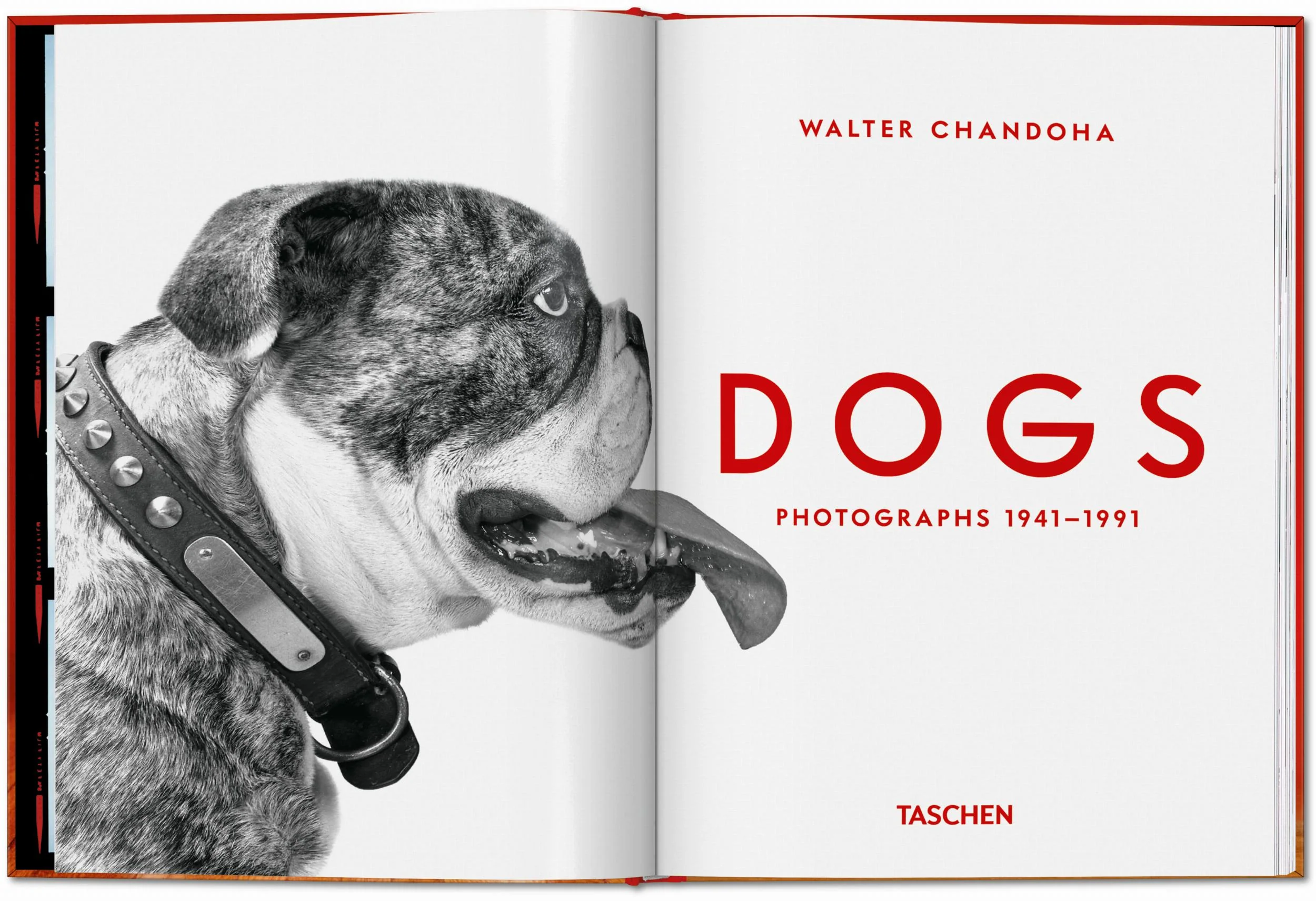 Walter Chandoha. Dogs. Photographs 1941–1991 (English) - Image 2