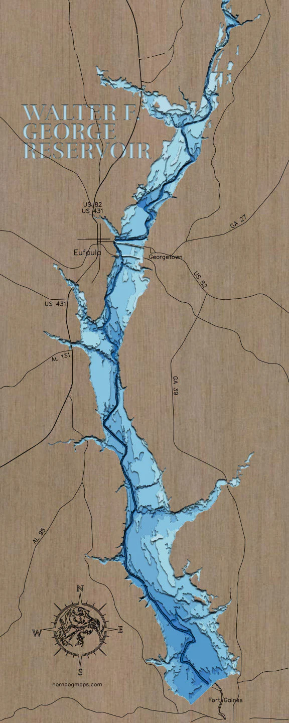 Walter F George Reservoir