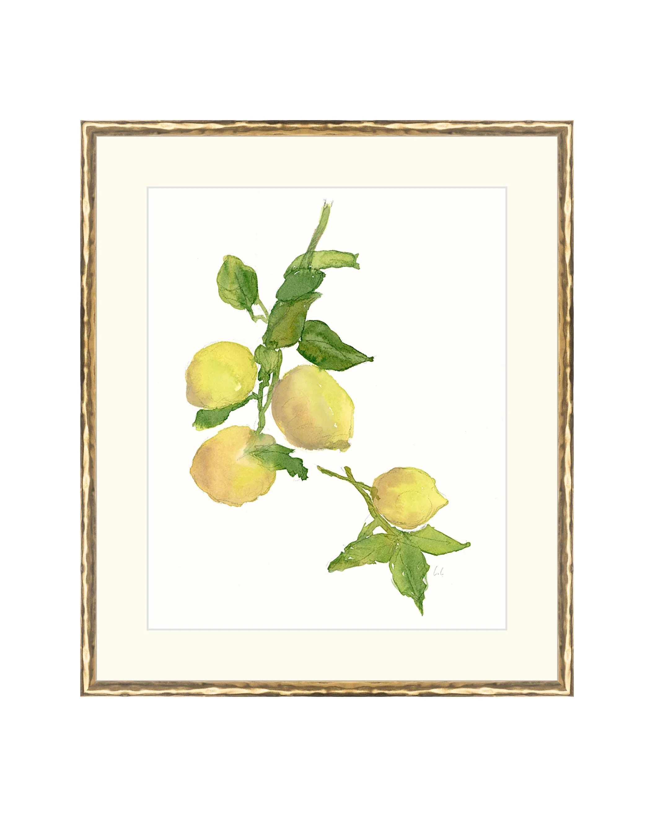 Watercolor Lemon Branch - Image 2