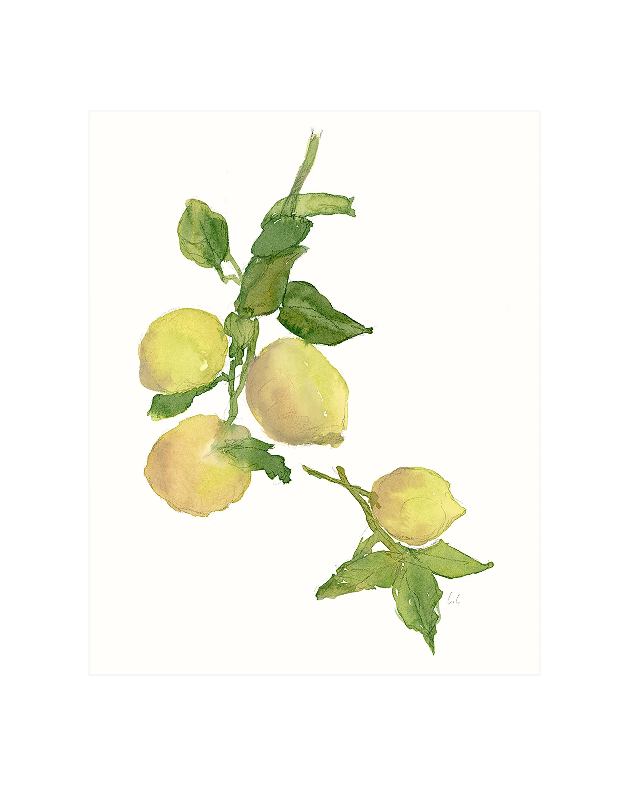 Watercolor Lemon Branch - Image 4