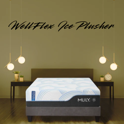 WellFlex Ice Plusher