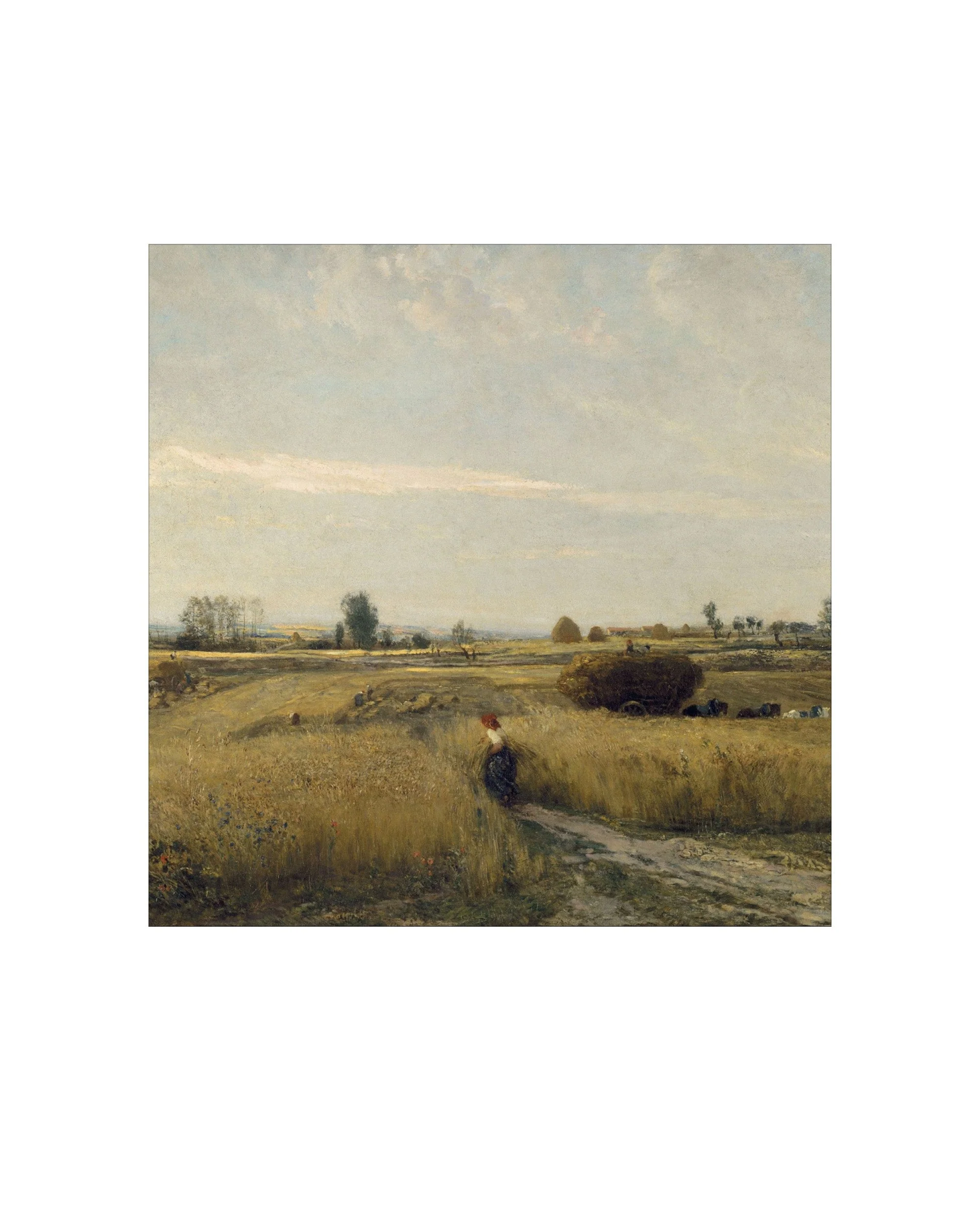 Wheat Meadow - Image 4