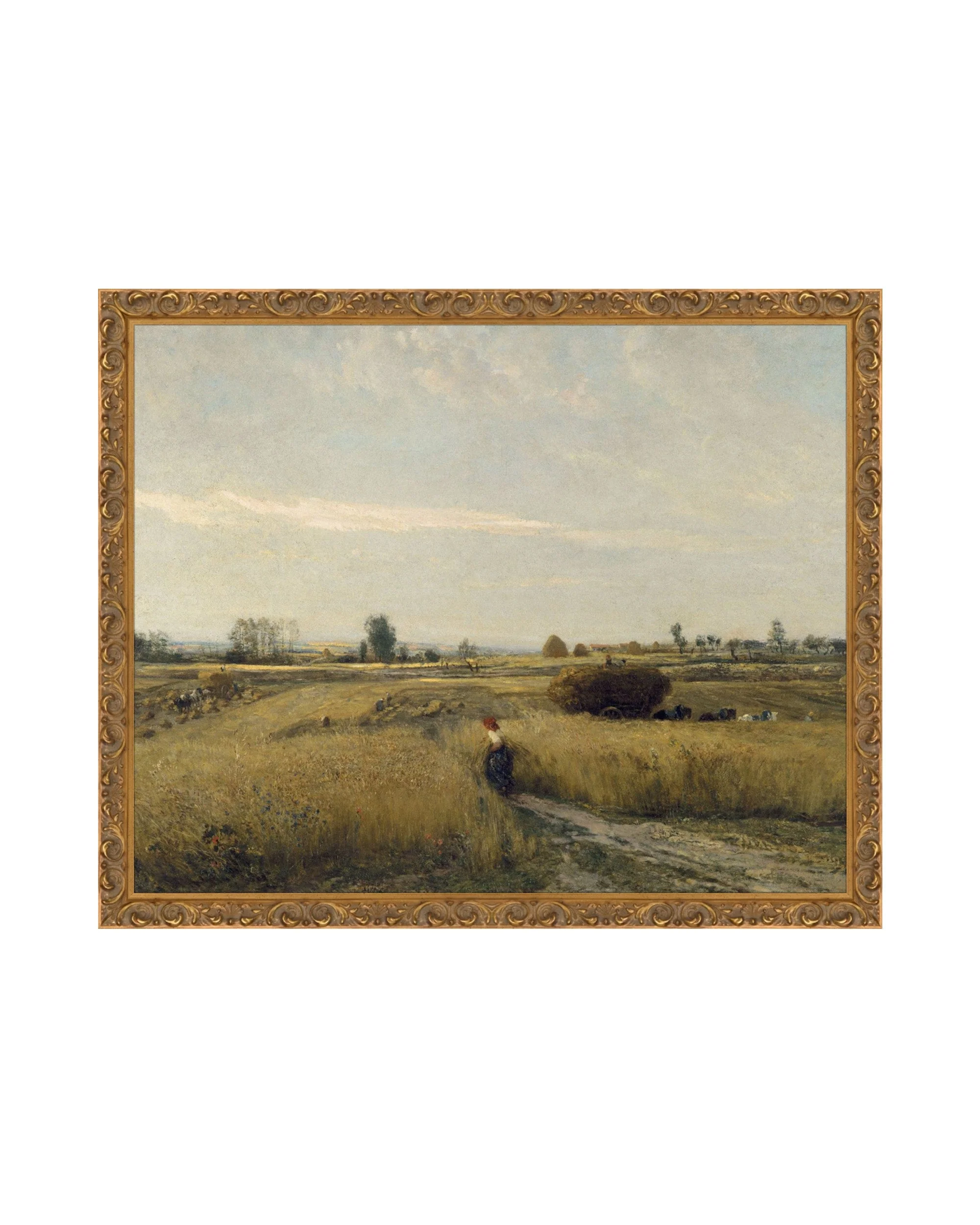 Wheat Meadow - Image 5