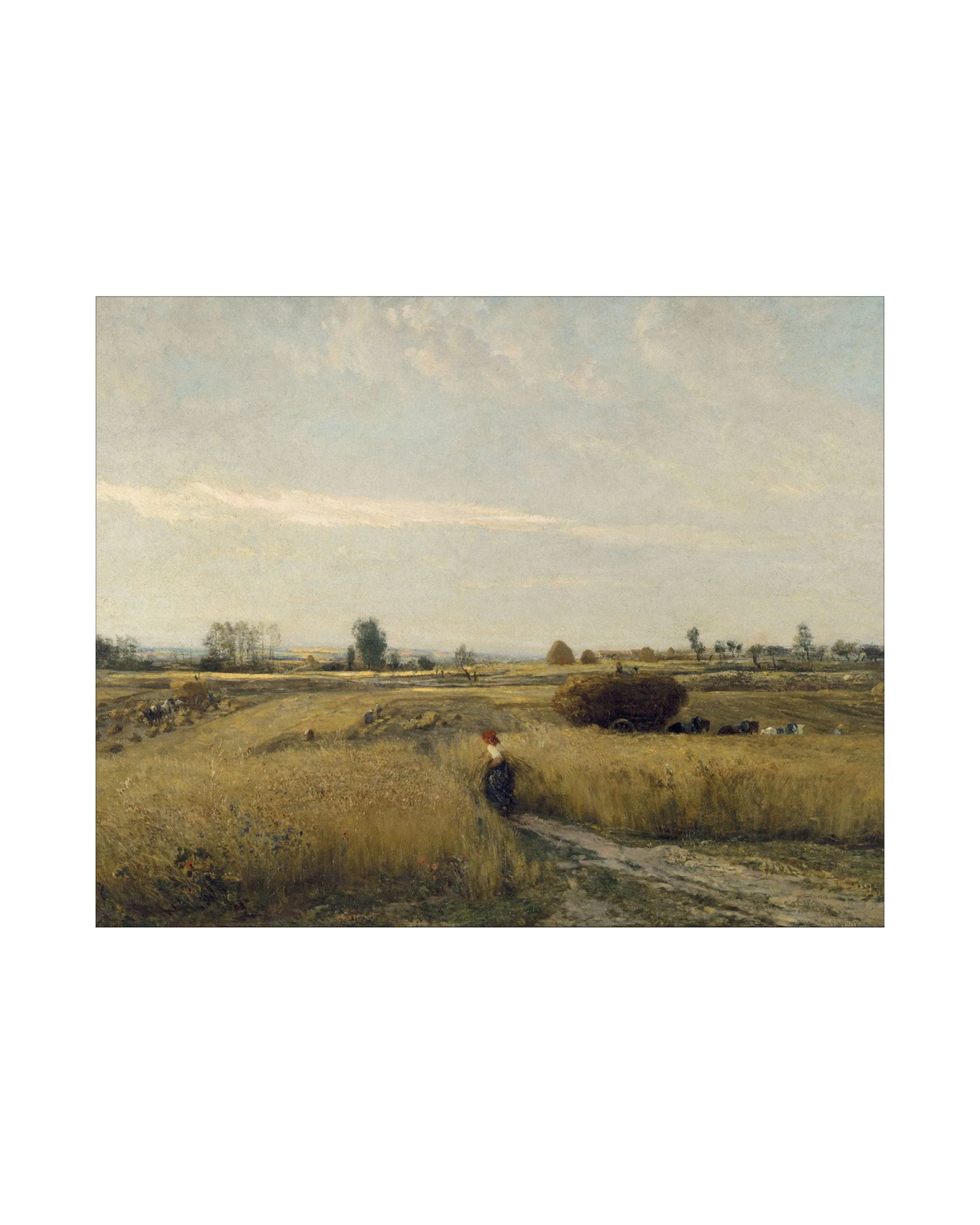 Wheat Meadow - Image 6