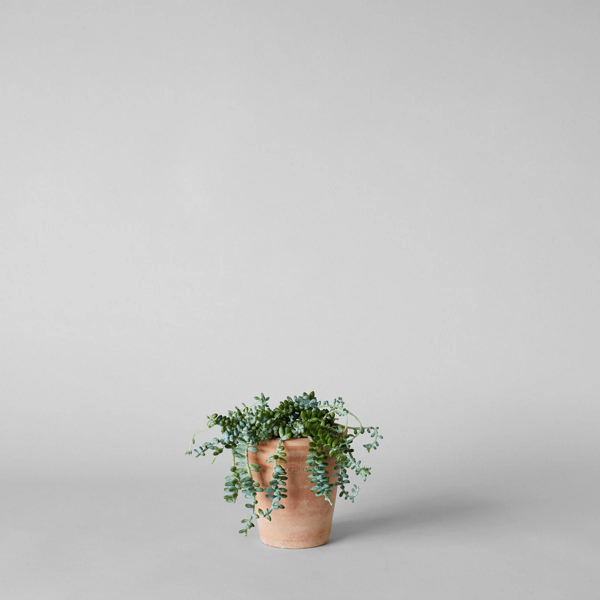 Whitewash Terracotta Studio Planter - Image 10