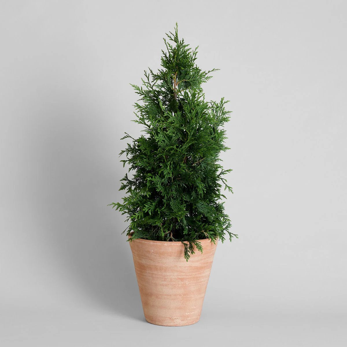 Whitewash Terracotta Studio Planter - Image 14